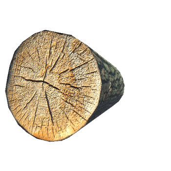Spruce Log_1